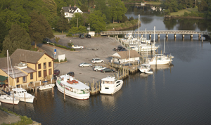 aerial photo of harbor with sail boats