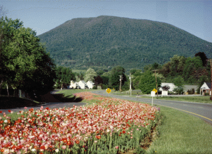 Pearisburg VA with mountainous background