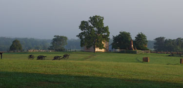 henry hill at manassas battlefield