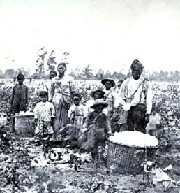 slaves on plantation