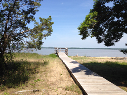 boardwalk to potomac river at caledon state park