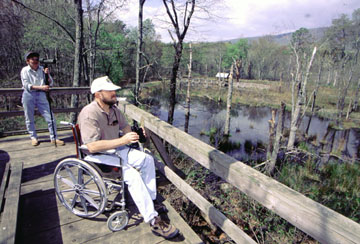 birdwatching in a wheelchair