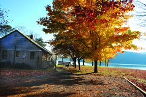 fall floliage at claytor lake