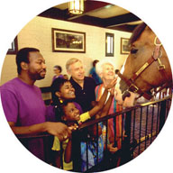 blind woman petting a horse