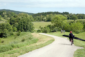 view of huckleberry trail