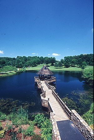 Great Marsh accessible trail