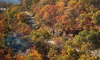 spectacular fall foliage along the Skyline Drive