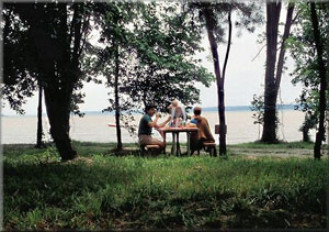 picnic at Leesylvania State Park